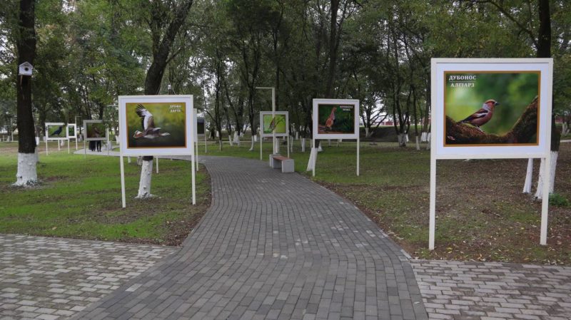каталог Курчалой